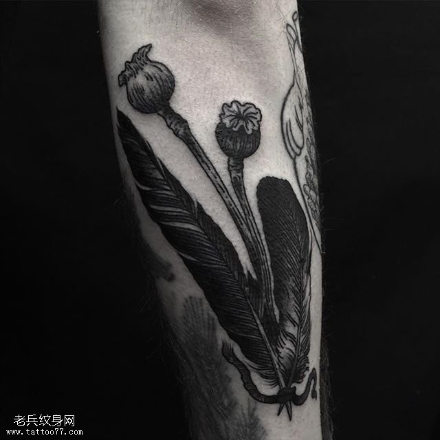 手臂大烟羽毛纹身图案