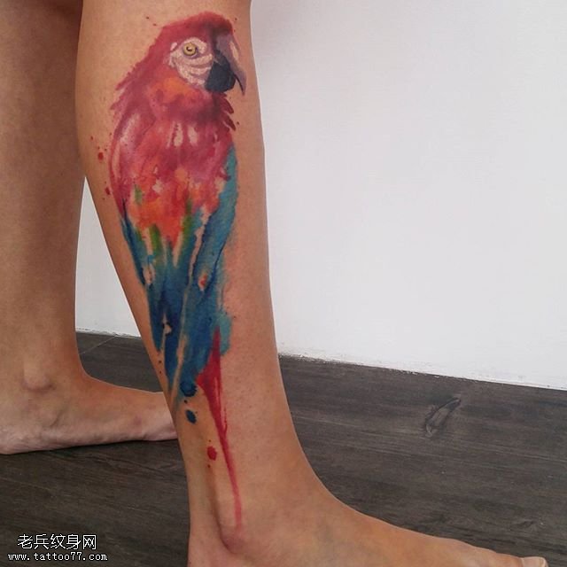 小腿水彩的鸟纹身图案