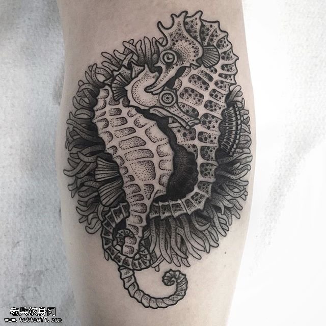 小腿两只翼龙骷髅纹身图案