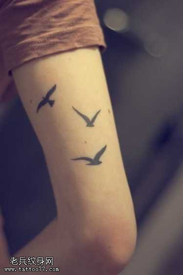 手臂漂亮的小鸟纹身图案
