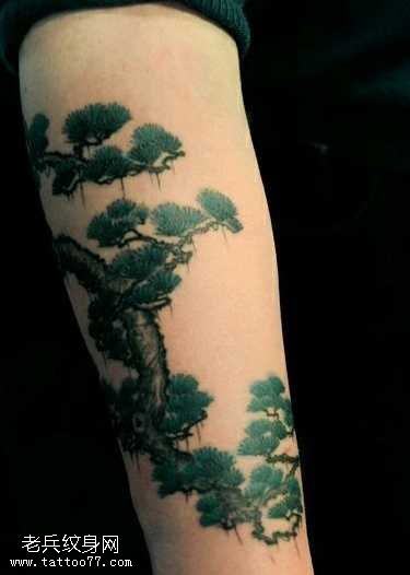 手臂个性的松树纹身图案