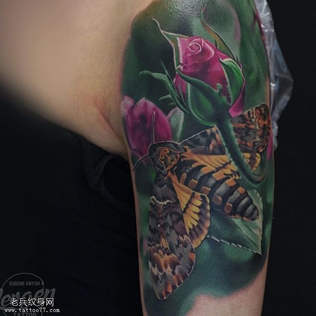 大臂写实彩绘花卉飞蛾纹身图案