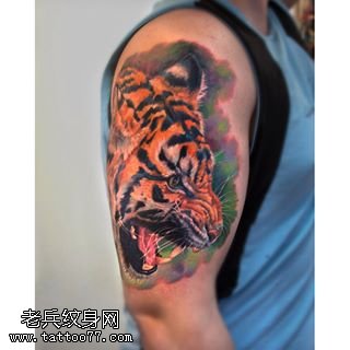 大臂水彩老虎纹身图案