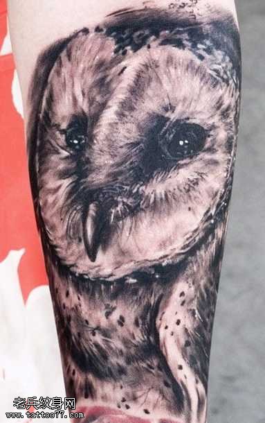 手臂猫头鹰纹身图案