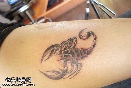 手臂黑白小蝎子纹身图案