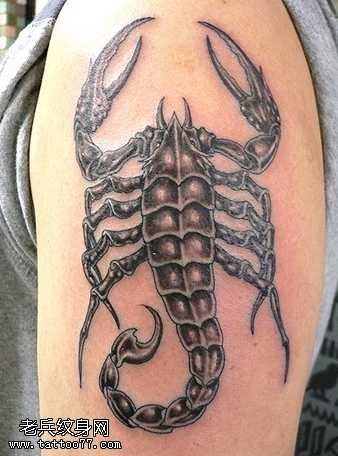 手臂大蝎子纹身图案