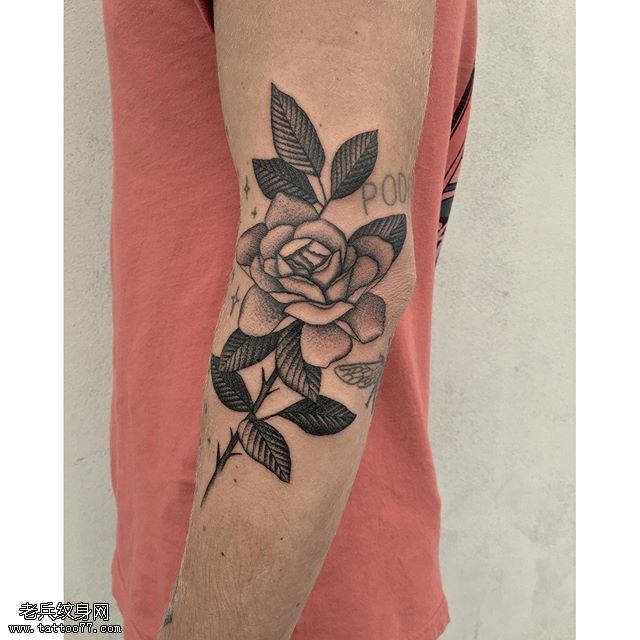 手臂点刺荆棘玫瑰纹身图案