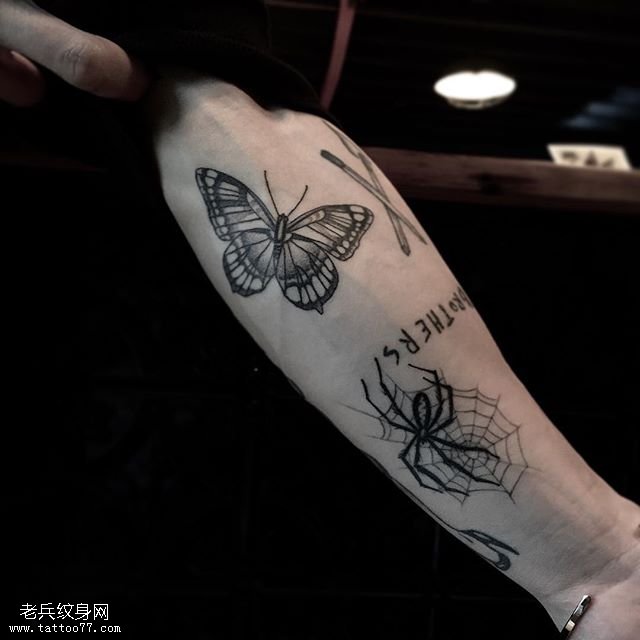 手臂蝴蝶蜘蛛网纹身图案