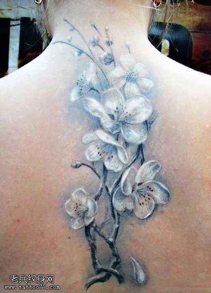 背部一枝白色的梅花纹身图案