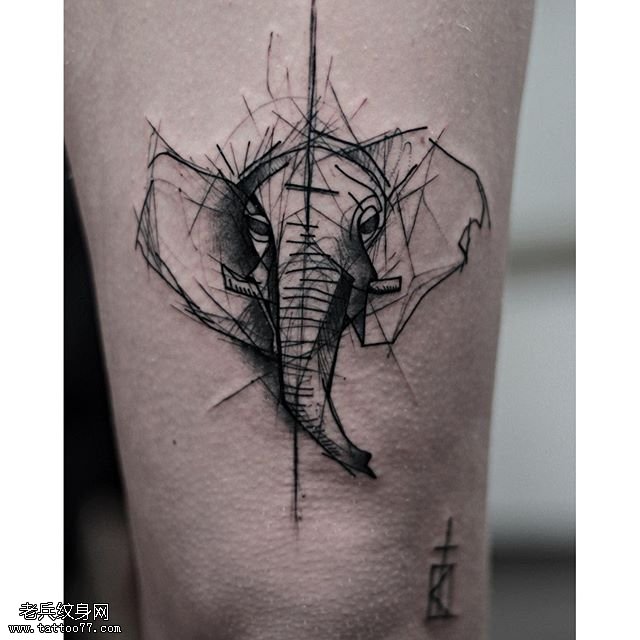 腿部线条大耳朵象纹身图案