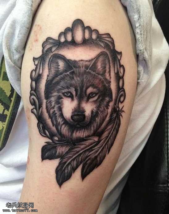 胳膊时尚漂亮的狼头纹身图案