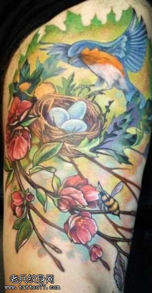 手臂彩色老鹰回巢纹身图案
