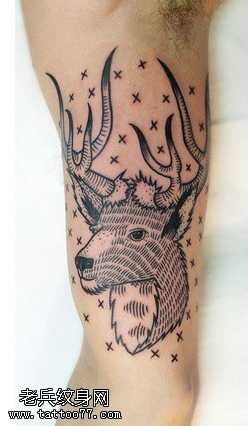 手臂梅花鹿头纹身图案