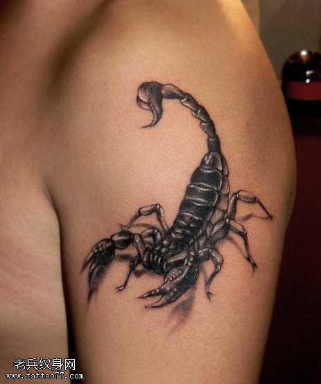 手臂毒蝎子纹身图案