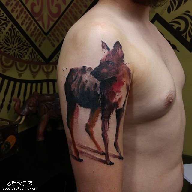 大臂水墨的一只狼狗纹身图案