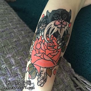 手稿彩绘玫瑰小猩猩纹身图案