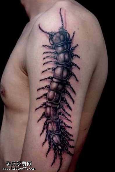 手臂黑色蜈蚣纹身图案