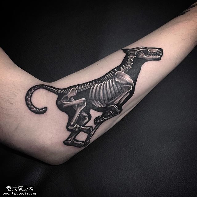 手臂上的狗骨架纹身图案