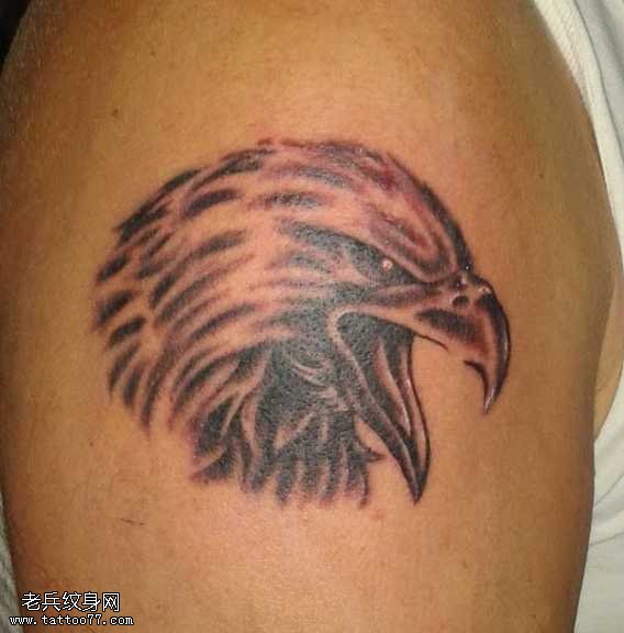 手臂帅气的老鹰头像纹身图案
