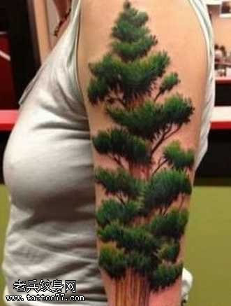 手臂绿意盎然的树纹身图案