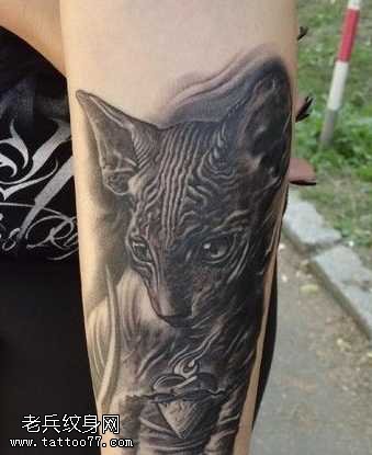 手臂眼神坚定的黑猫纹身图案