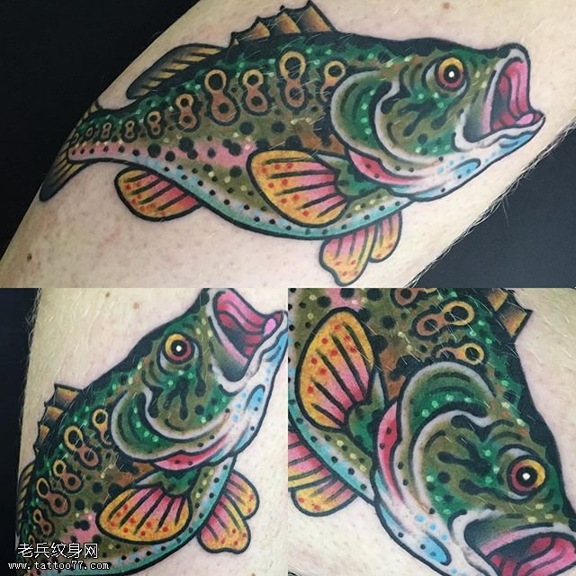 手臂彩色的鱼纹身图案