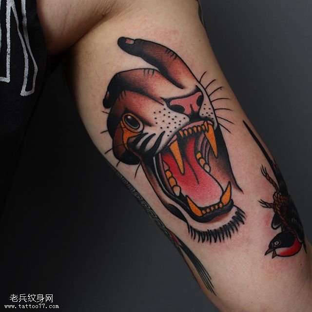 大臂手上的老虎纹身图案