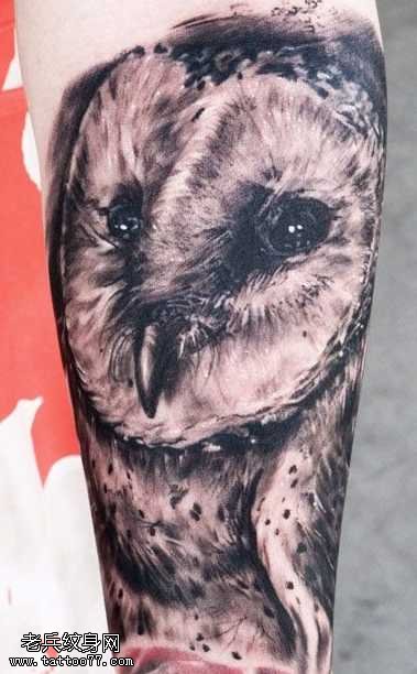 手臂猫头鹰纹身图案