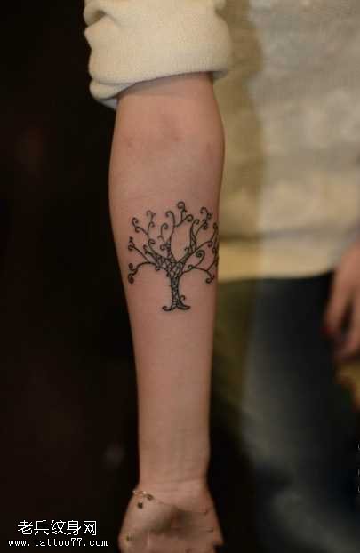 手臂小清新生命树纹身图案