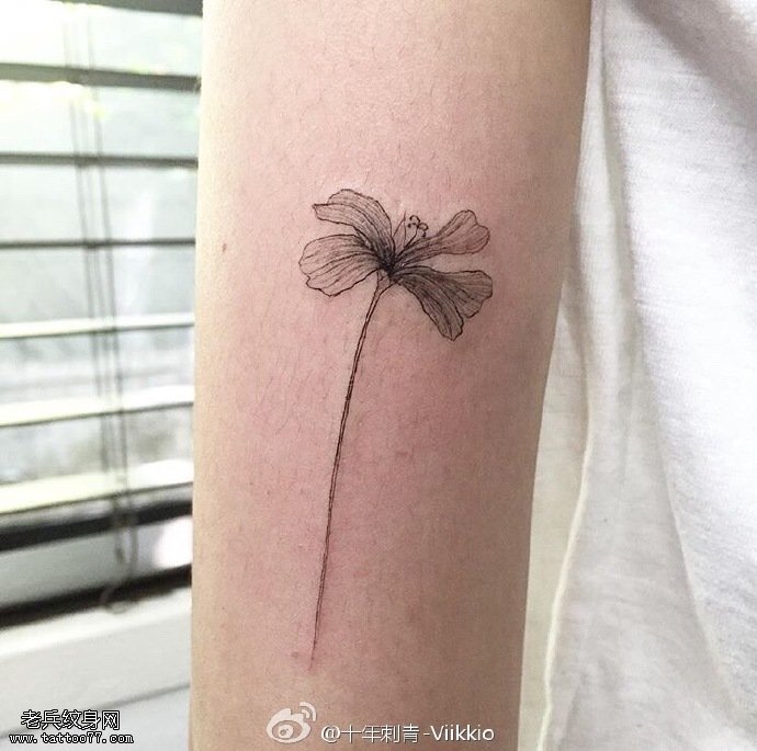 手臂点刺的一朵小花纹身图案
