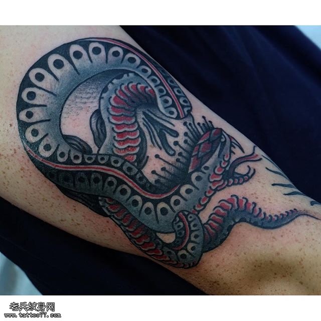 大臂的一条蛇纹身图案