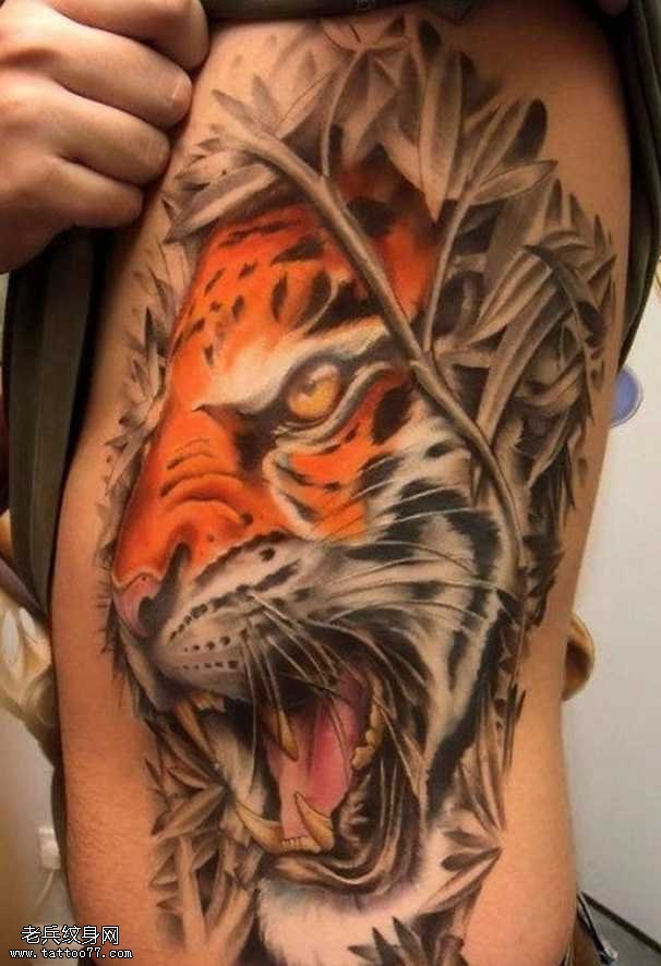 腰部霸气的老虎纹身图案