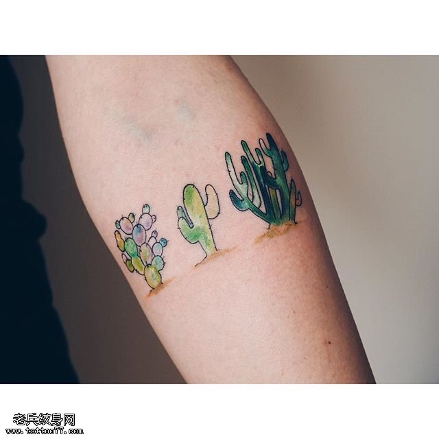 手臂彩绘仙人掌纹身图案
