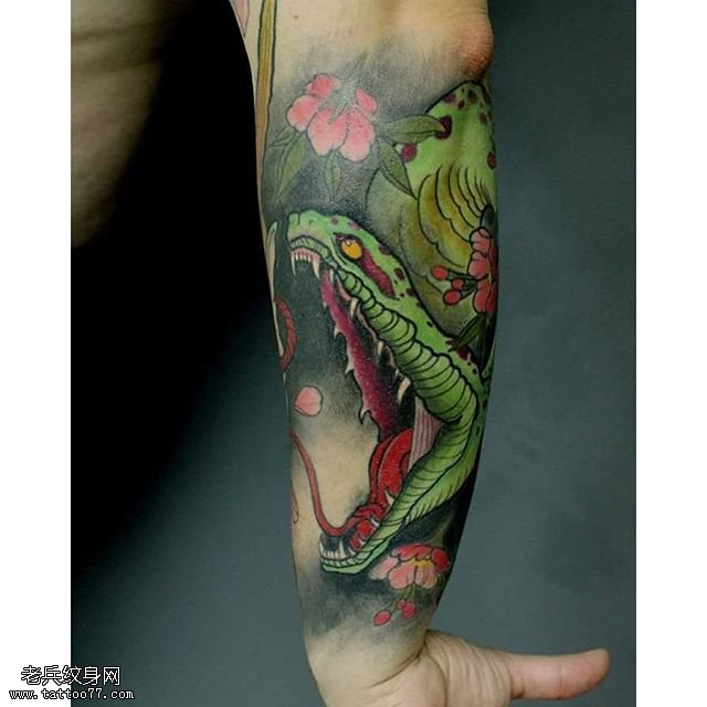 手臂水彩的青蛇纹身图案