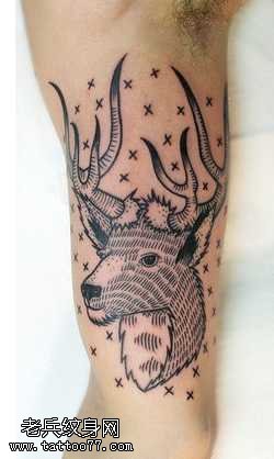 手臂梅花鹿头纹身图案