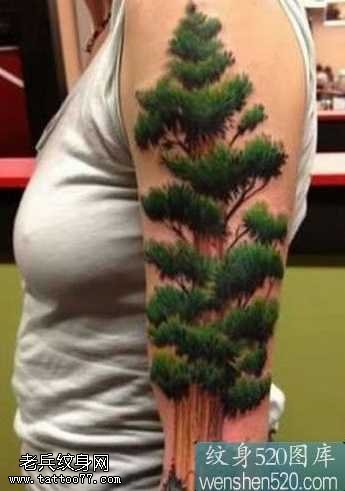 手臂绿意盎然的树纹身图案