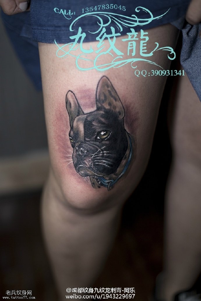 大腿一只巴巴狗纹身图案