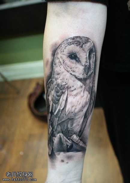 手臂猫头鹰纹身图案