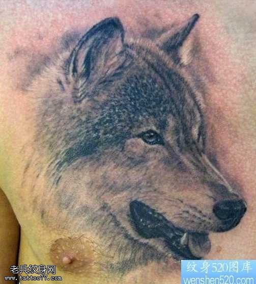 前胸时尚经典的狼头纹身图案