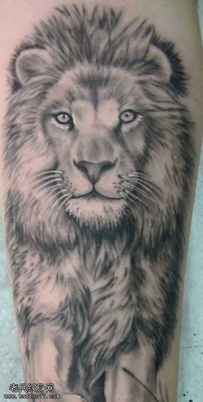 腿部霸气的狮子头像纹身图案
