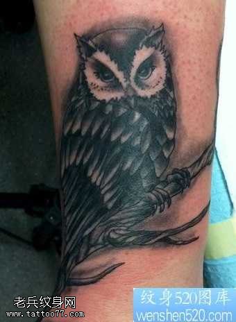 手腕猫头鹰纹身图案