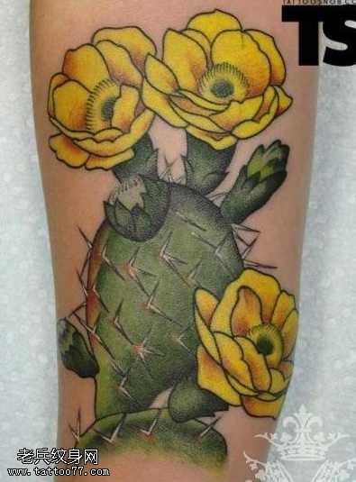 手臂彩色的仙人掌花纹身图案
