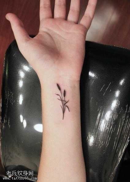 手腕时尚小巧的芦苇草纹身图案
