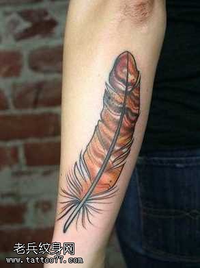 手臂彩色羽毛纹身图案