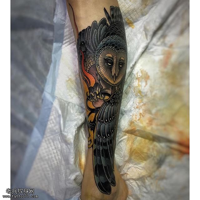 小腿上一只美丽的猫头鹰纹身图案