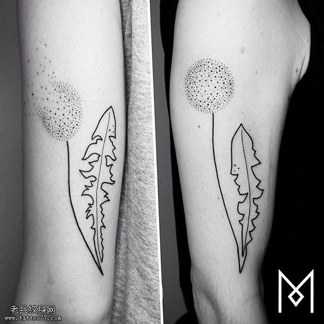 大臂线条蒲公英纹身图案