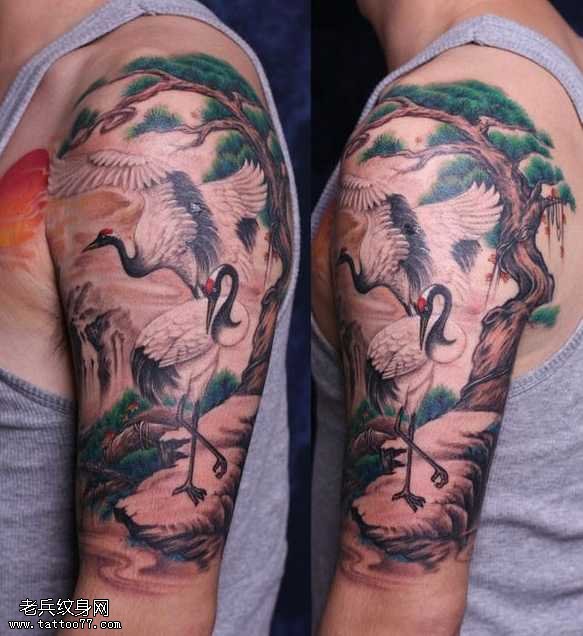 手臂丹顶鹤纹身图案