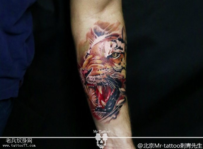 手臂血口老虎纹身图案