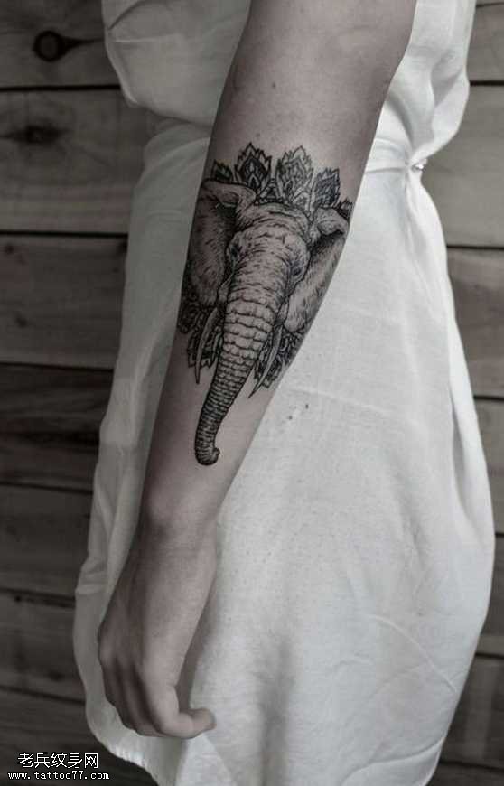 手臂帅气的大象纹身图案