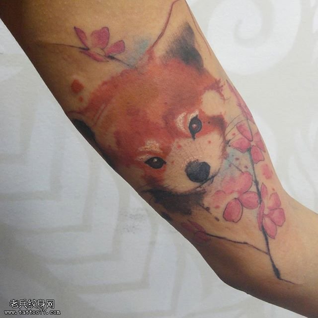 大臂彩绘猫咪纹身图案